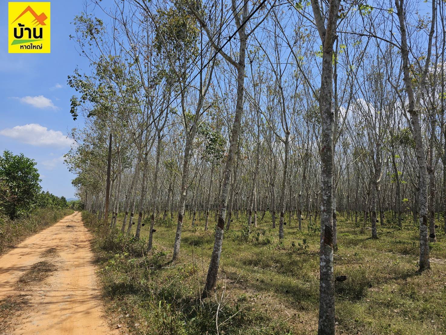 โครงการพาราริช บ้านหาดใหญ่