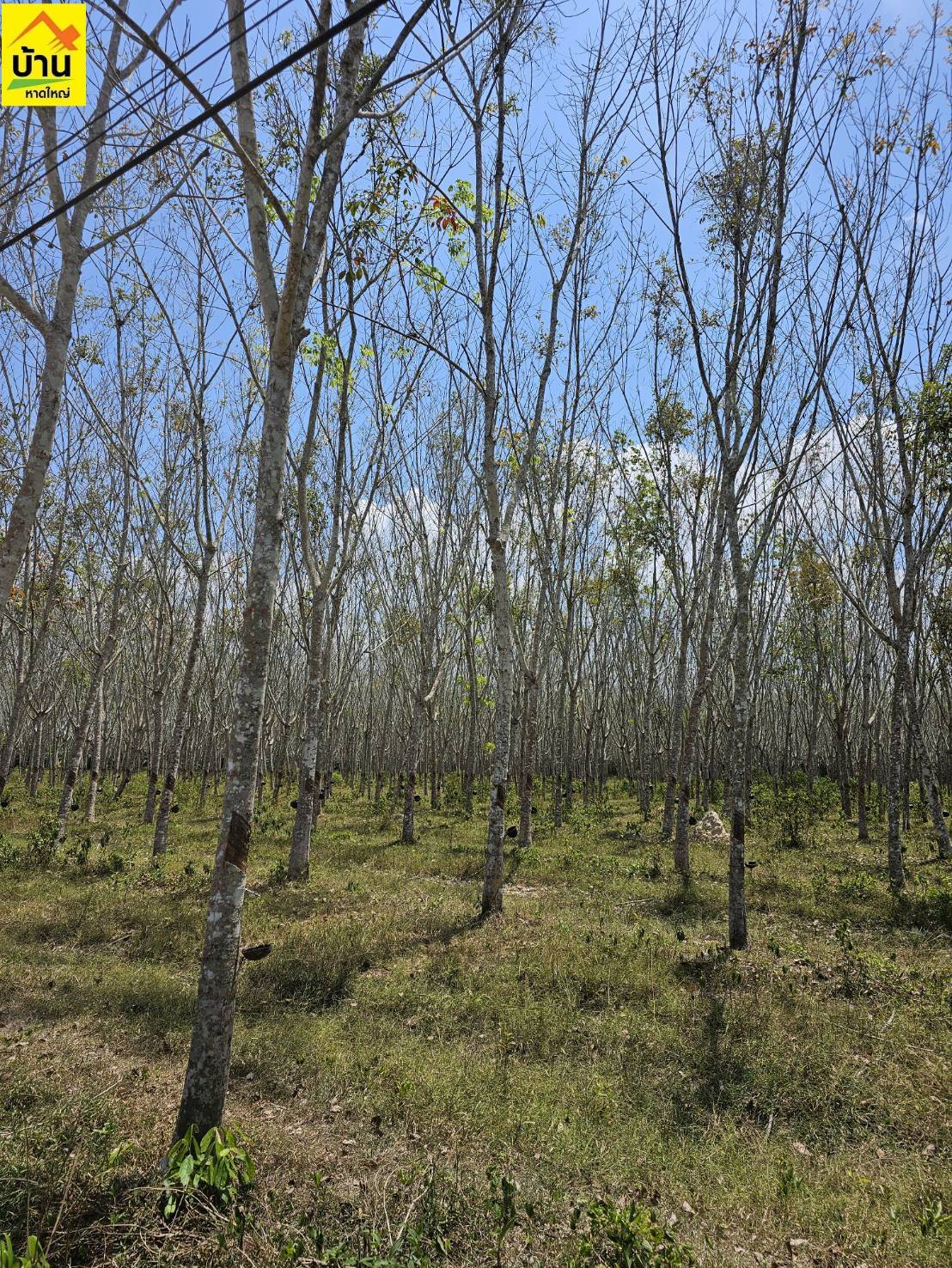 โครงการพาราริช บ้านหาดใหญ่